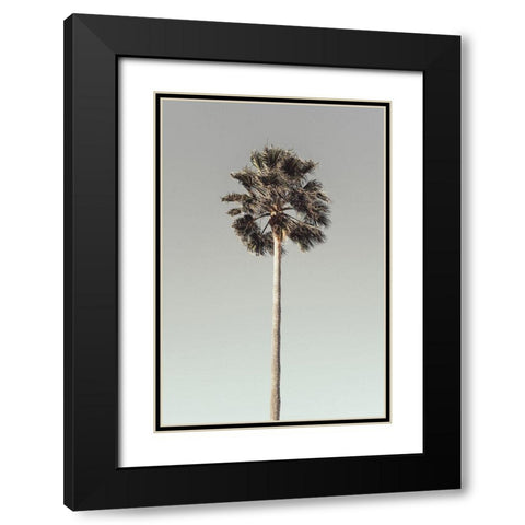 Palm_001 Black Modern Wood Framed Art Print with Double Matting by 1x Studio III
