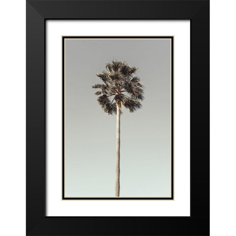 Palm_001 Black Modern Wood Framed Art Print with Double Matting by 1x Studio III