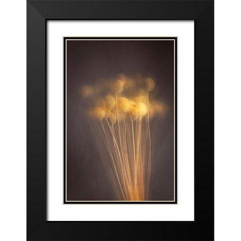 Curious Heads Black Modern Wood Framed Art Print with Double Matting by Kiral, Cicek