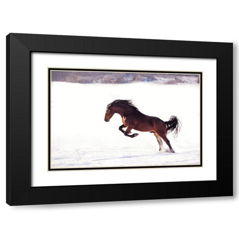 735W 2 Black Modern Wood Framed Art Print with Double Matting by Bogdan R, Mihai