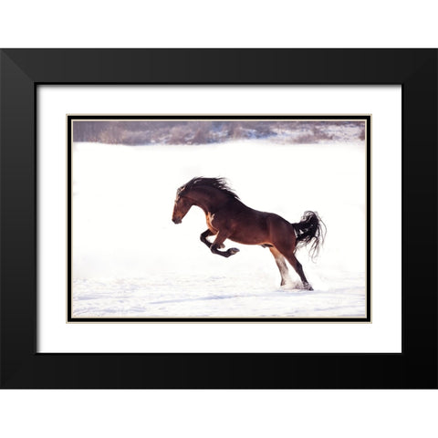 735W 2 Black Modern Wood Framed Art Print with Double Matting by Bogdan R, Mihai