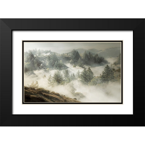 Silver White Winter that Melts into Spring Black Modern Wood Framed Art Print with Double Matting by Z. Chan, Jamie
