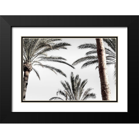 Palm_007 Black Modern Wood Framed Art Print with Double Matting by 1x Studio III
