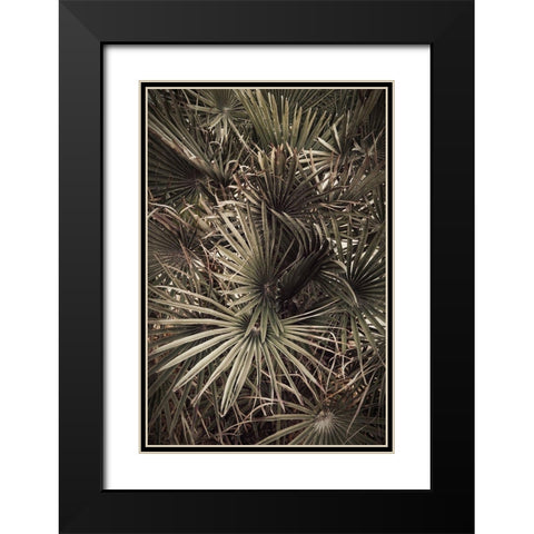 Palmblad_003 Black Modern Wood Framed Art Print with Double Matting by 1x Studio III