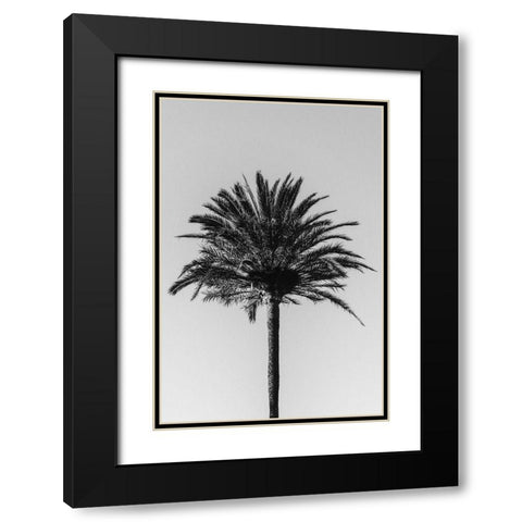 Palm_003 Black Modern Wood Framed Art Print with Double Matting by 1x Studio III