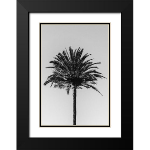 Palm_003 Black Modern Wood Framed Art Print with Double Matting by 1x Studio III