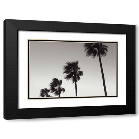 Palm_004 Black Modern Wood Framed Art Print with Double Matting by 1x Studio III