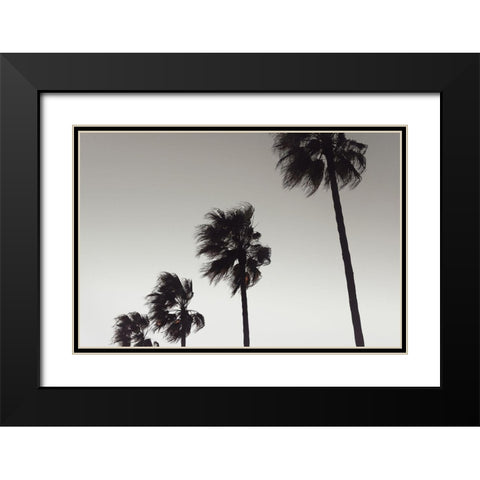 Palm_004 Black Modern Wood Framed Art Print with Double Matting by 1x Studio III