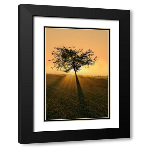 Dream of becoming big. Black Modern Wood Framed Art Print with Double Matting by Londal, Leif