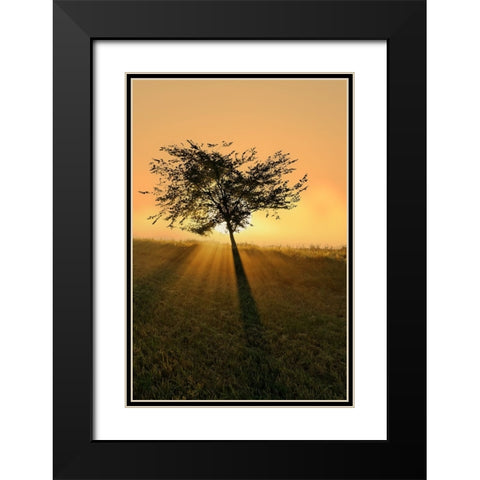 Dream of becoming big. Black Modern Wood Framed Art Print with Double Matting by Londal, Leif