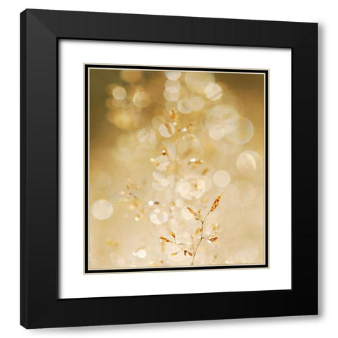 A bit closer 2/02 Black Modern Wood Framed Art Print with Double Matting by Limberg, Huib
