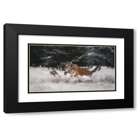 Joy On The Snow Black Modern Wood Framed Art Print with Double Matting by Firesova, Michaela