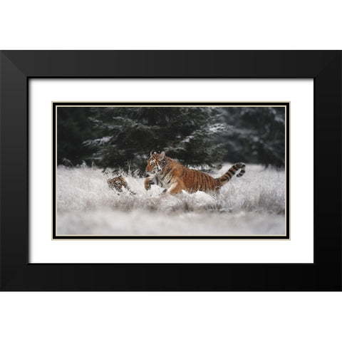 Joy On The Snow Black Modern Wood Framed Art Print with Double Matting by Firesova, Michaela