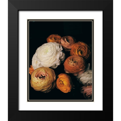 Ranunculus Black Modern Wood Framed Art Print with Double Matting by FiguraNYC Photography