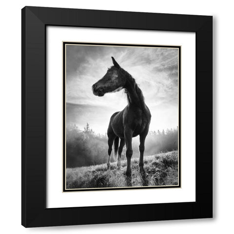 Backlight Horse Black Modern Wood Framed Art Print with Double Matting by Accordini, Alessandro