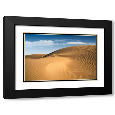 Curves Black Modern Wood Framed Art Print with Double Matting by Babaei, Hosein