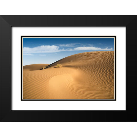 Curves Black Modern Wood Framed Art Print with Double Matting by Babaei, Hosein