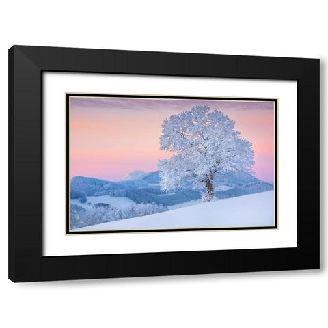 exposed Black Modern Wood Framed Art Print with Double Matting by Jochen, Burger