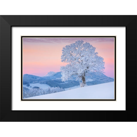 exposed Black Modern Wood Framed Art Print with Double Matting by Jochen, Burger