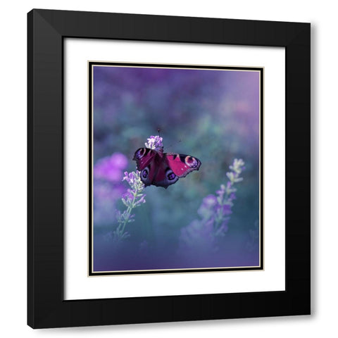 Queen Of Flowers...III Black Modern Wood Framed Art Print with Double Matting by Nan, Juliana