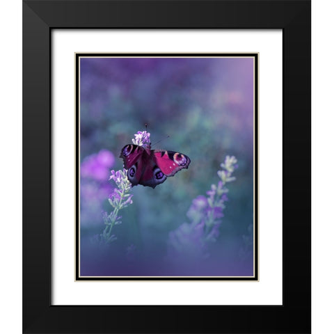 Queen Of Flowers...III Black Modern Wood Framed Art Print with Double Matting by Nan, Juliana