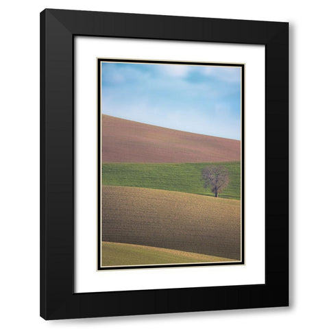 S.T. 025 Black Modern Wood Framed Art Print with Double Matting by Gray, Dorian