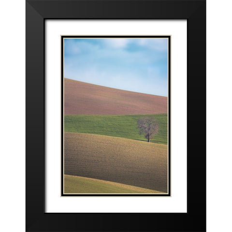 S.T. 025 Black Modern Wood Framed Art Print with Double Matting by Gray, Dorian