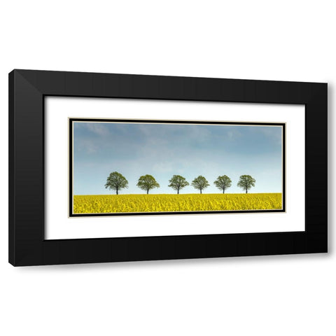 rape Black Modern Wood Framed Art Print with Double Matting by Uhlig, Dieter
