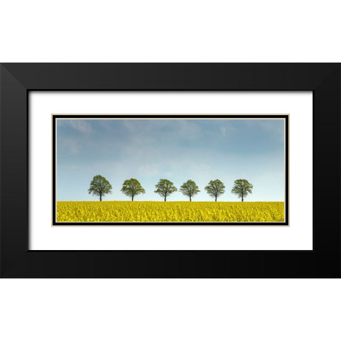 rape Black Modern Wood Framed Art Print with Double Matting by Uhlig, Dieter