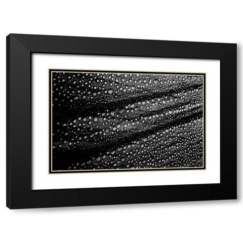 Cultured Rain Pearls Black Modern Wood Framed Art Print with Double Matting by Ciappara Lrps., Simon