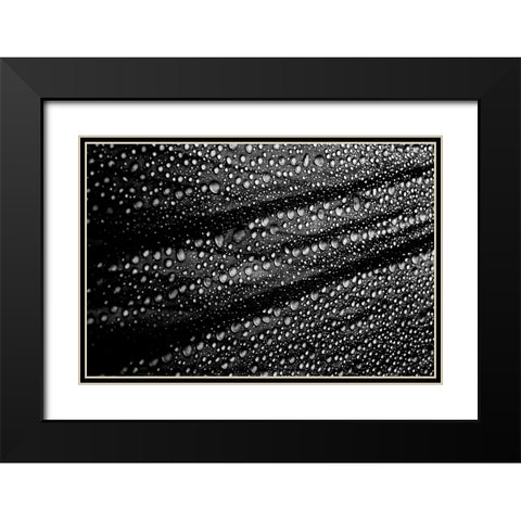 Cultured Rain Pearls Black Modern Wood Framed Art Print with Double Matting by Ciappara Lrps., Simon