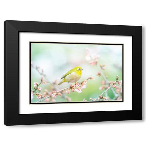 The Arrival of Spring Black Modern Wood Framed Art Print with Double Matting by Suzuki, Takashi