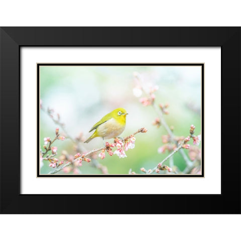 The Arrival of Spring Black Modern Wood Framed Art Print with Double Matting by Suzuki, Takashi