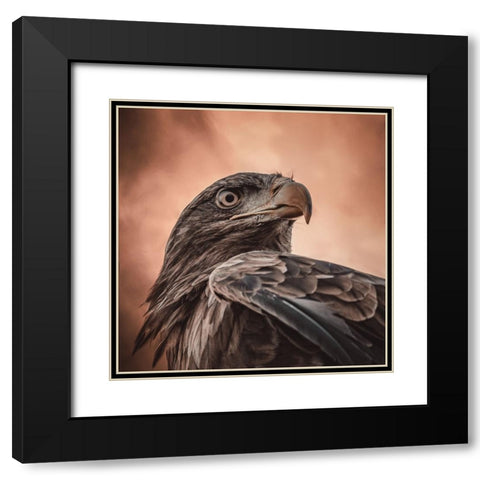 And His Eyes Saw Everything.... Black Modern Wood Framed Art Print with Double Matting by Worseling, Natascha