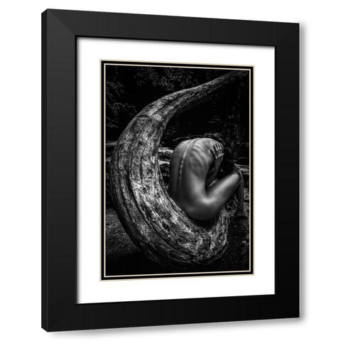 Wild Black Modern Wood Framed Art Print with Double Matting by Mannini, Roberto