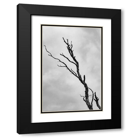 Im not leaving without a fight Black Modern Wood Framed Art Print with Double Matting by Wallenstein, Nicolau