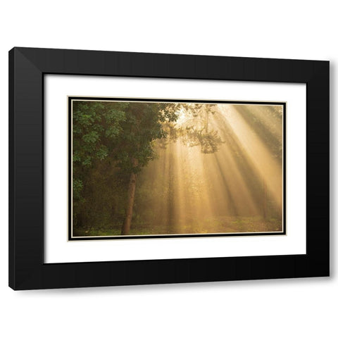 ray of light Black Modern Wood Framed Art Print with Double Matting by Moshe, Mallal