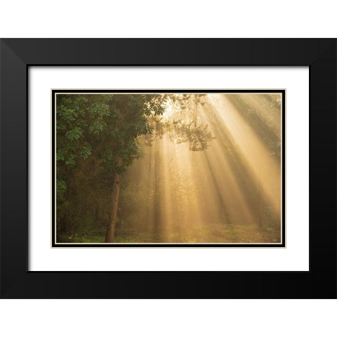 ray of light Black Modern Wood Framed Art Print with Double Matting by Moshe, Mallal