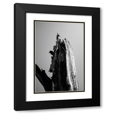 Wetlands 1 Black Modern Wood Framed Art Print with Double Matting by Perry, Lewis