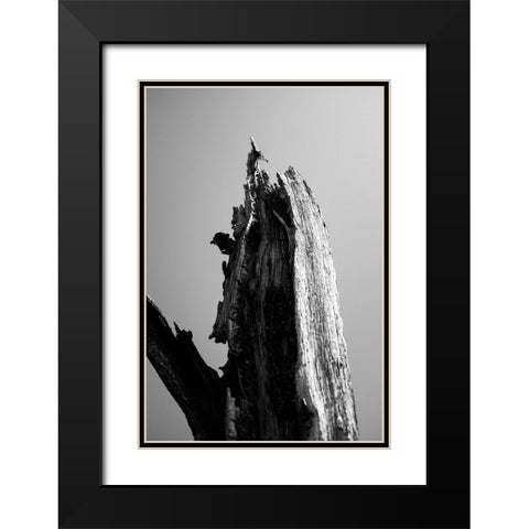Wetlands 1 Black Modern Wood Framed Art Print with Double Matting by Perry, Lewis