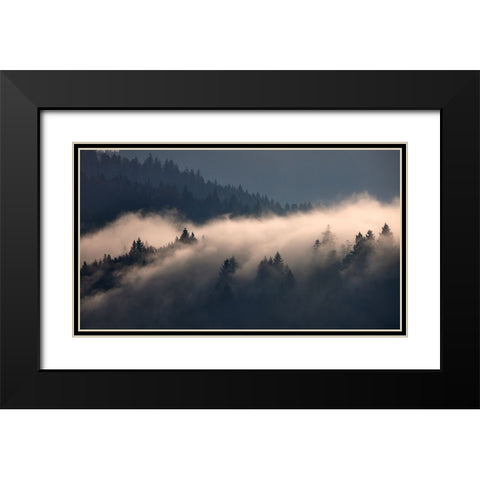 Black Forest II Black Modern Wood Framed Art Print with Double Matting by Schade, Peter