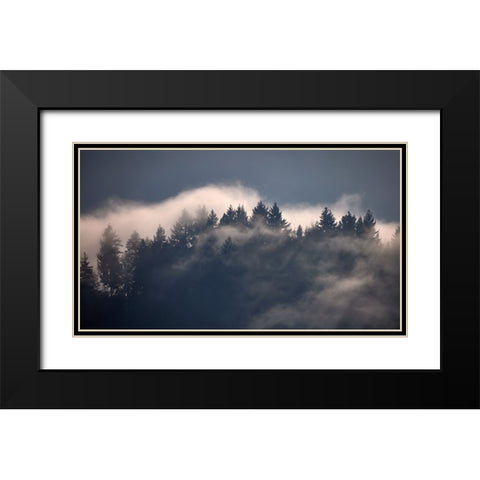 Black Forest I Black Modern Wood Framed Art Print with Double Matting by Schade, Peter