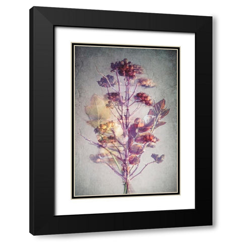 Before Winter Black Modern Wood Framed Art Print with Double Matting by Kiral, Cicek