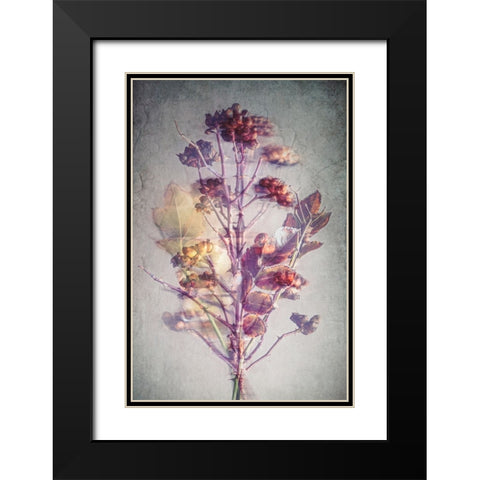 Before Winter Black Modern Wood Framed Art Print with Double Matting by Kiral, Cicek