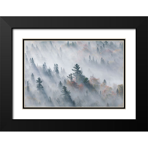 The Fog of Silence, The Fog of Illusion Black Modern Wood Framed Art Print with Double Matting by Zhao, Jennifer