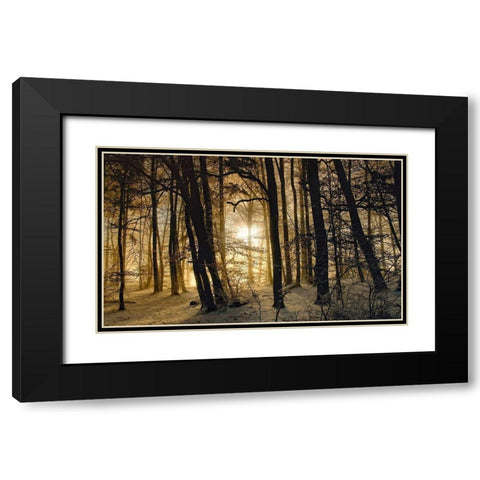 Winter Morning Black Modern Wood Framed Art Print with Double Matting by Maier, Norbert