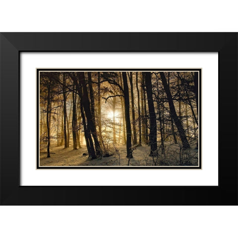 Winter Morning Black Modern Wood Framed Art Print with Double Matting by Maier, Norbert