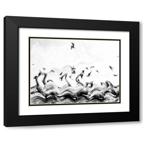 Swans waves Black Modern Wood Framed Art Print with Double Matting by Dinca, Silvia