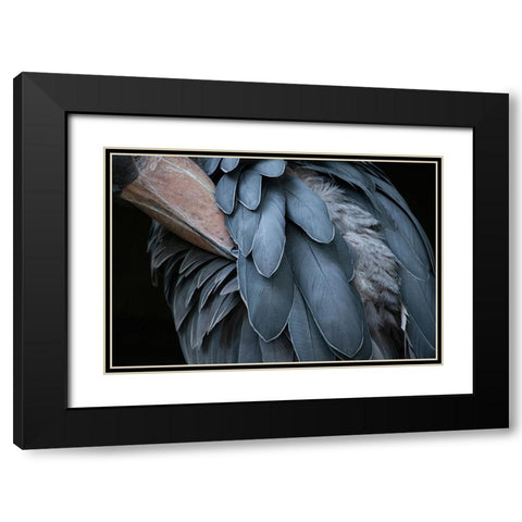 Feather Black Modern Wood Framed Art Print with Double Matting by Aoki, Juri