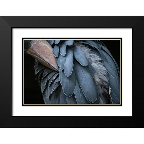 Feather Black Modern Wood Framed Art Print with Double Matting by Aoki, Juri